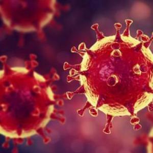 Coronavirus_update