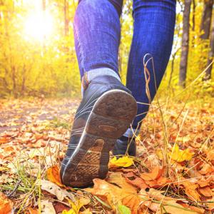 walking in autumn woods